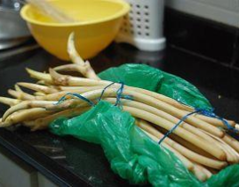 藕带网红,揭秘网红背后的故事与魅力