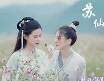 优雅古风小姐姐文案简短,风华绝代